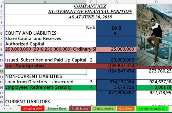 I will make financial statements for company within 24 hours