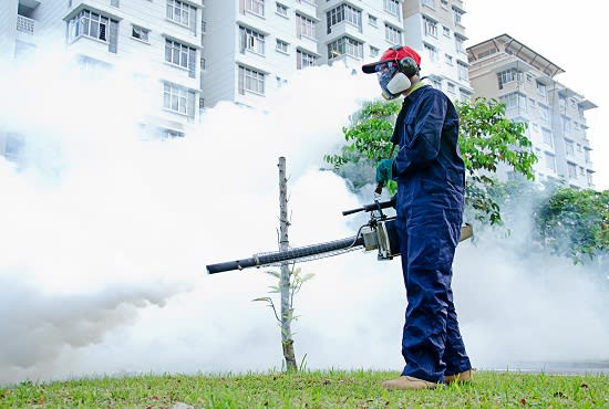 I will make realistic pest control business promo video