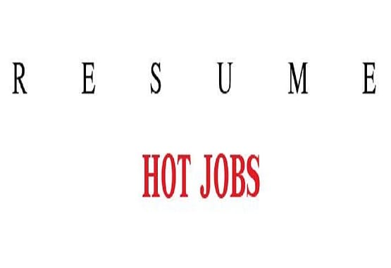 I will provide resume writing services