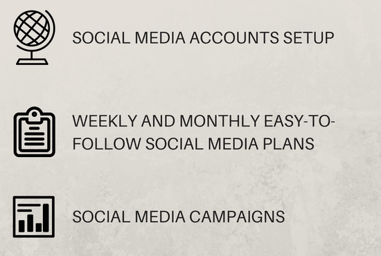 I will set up a social media page, plan or campaign