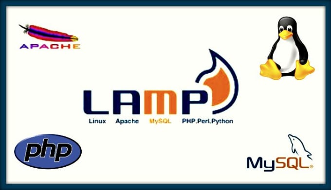 I will setup lamp or lemp on your server