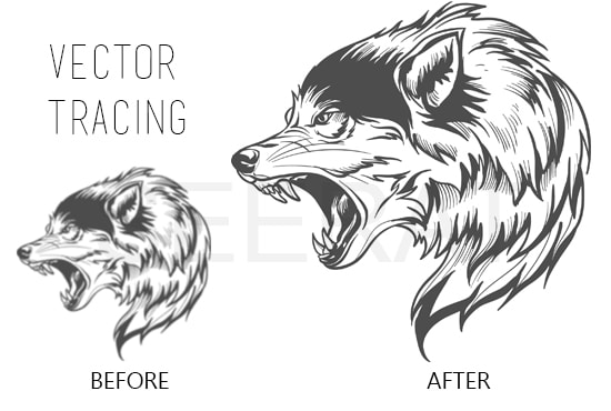 I will vectorize, trace any image