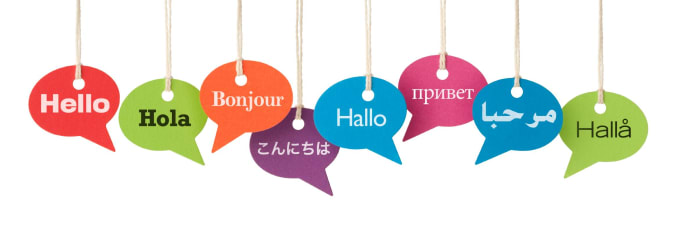 I will translate any document to english and german