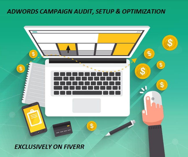 I will audit, setup, optimize or manage google adwords PPC campaign