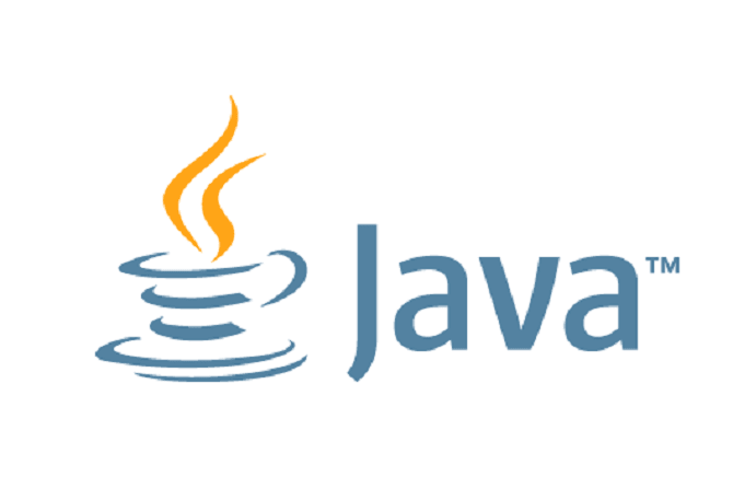 I will build your projects by using java