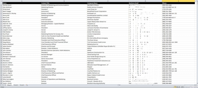 I will conduct business leads or prospects list as your target