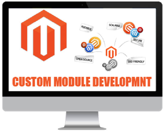 I will create custom magento module