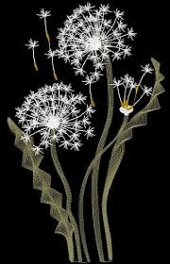 I will create embroidery designs for you