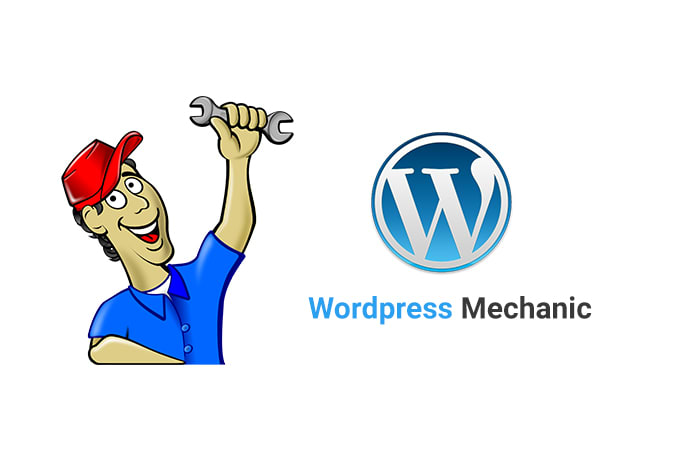 I will create,fix or customize wordpress website