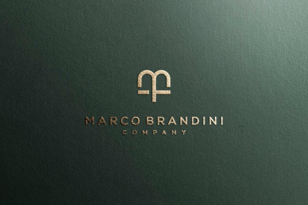 I will design a professional and simple logo