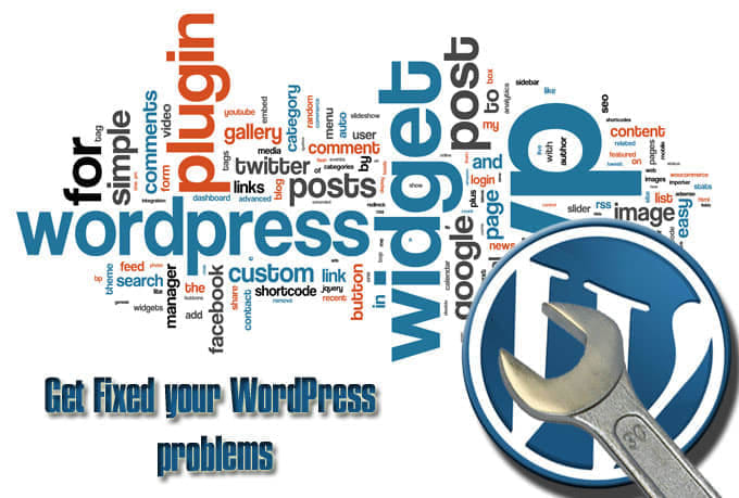 I will develop and customize wordpress site