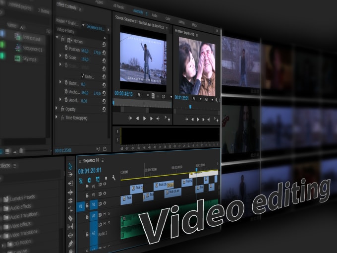 I will do a professional video editing