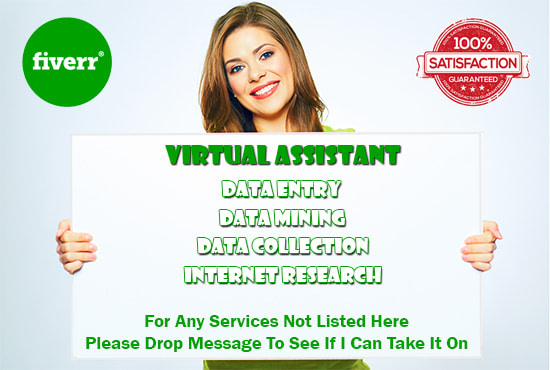 I will do data entry job