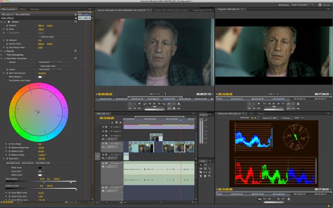 I will do professional video editing and motion graphics