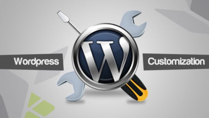 I will do wordpress website customization