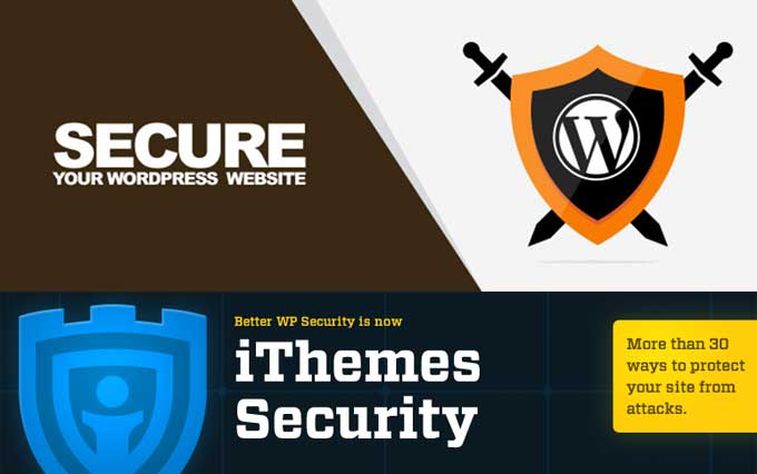 I will express security wordpress service