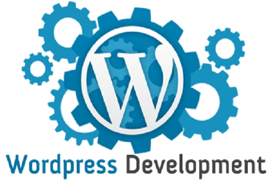 I will make professional website in wordpress