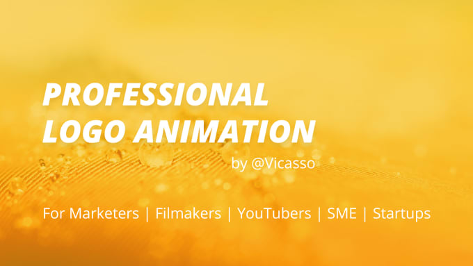 I will make simple and professional logo animation
