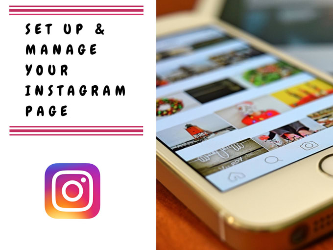 I will professionaly set up and manage your instagram