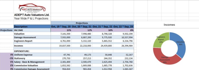 I will provide eye catching graphs and charts for your data