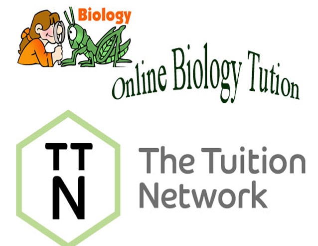 I will teach you biology and zoology