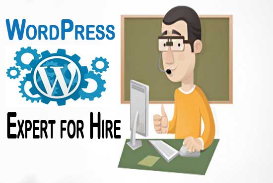 I will work for 1 hour related to wordpress or website