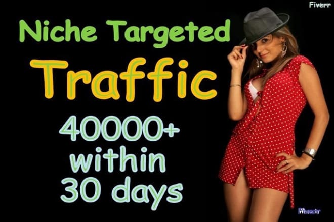 I will analyze and send 40k professionally targeted usa web traffic