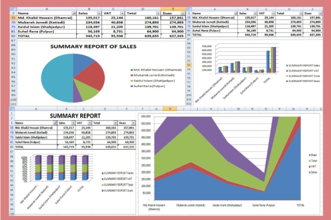 I will be your excel expert and reporting specialist