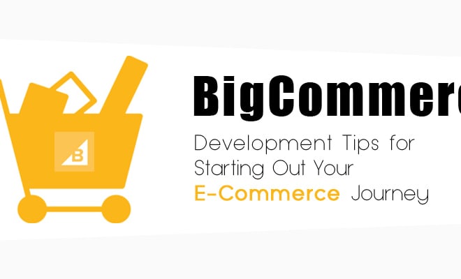 I will bigcommerce web developer and designer