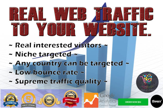 I will bring real human visitors targeted web traffic