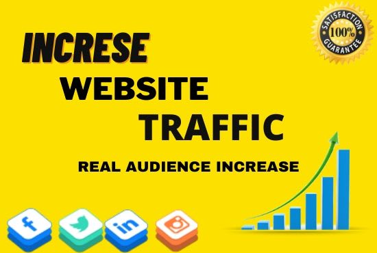 I will bring usa organic targeted web traffic