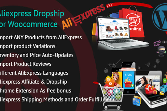 I will build automatic aliexpress dropshipping wordpress store