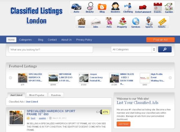 I will build you professional classified ads website