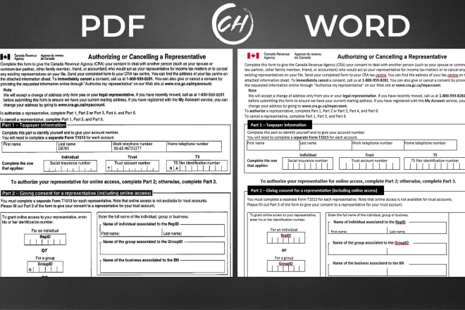 I will convert PDF to word, pdf to excel, copy paste, data entry