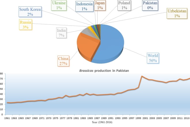 I will create professional charts, graphs and pivot tables in excel
