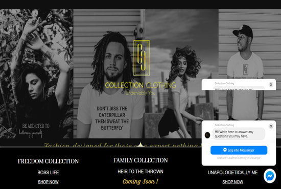 I will create your ecommerce, woocommerce and aliexpress dropshipping website