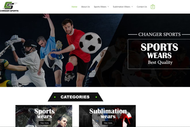 I will design a professional website for your business