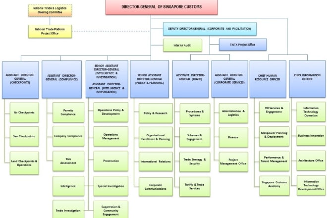 I will design flowchart, flow chart,organogram,organization chart and flow diagram