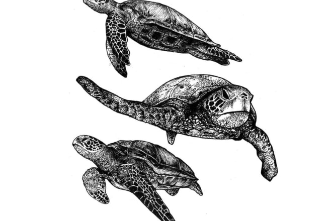 I will do a realistic animal and botanical sketch drawing
