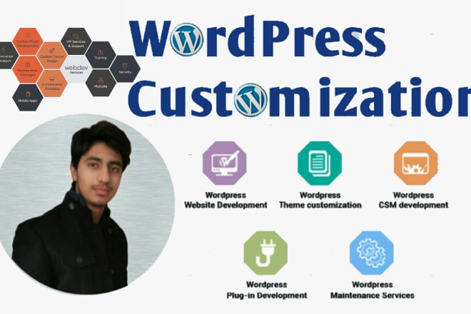 I will do any modifications in wordpress site, theme and plugins