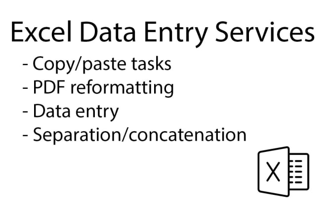 I will do data entry services for you