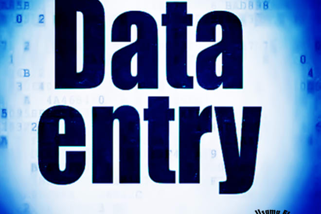 I will do data entry typing work within 24 hours unlimited revisions