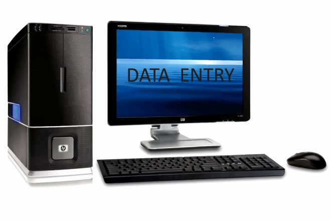 I will do data entry work