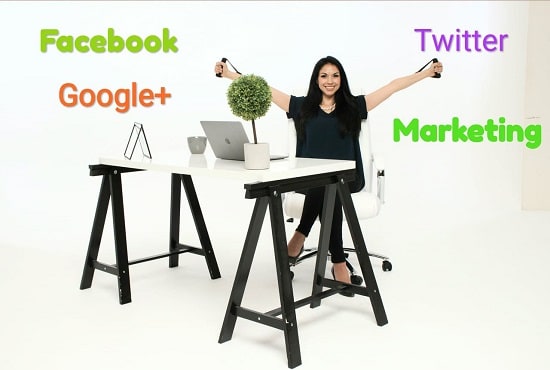 I will do facebook and twitter marketing