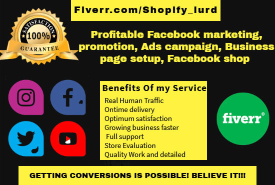 I will do facebook promotion ads campaign twitter,instagram marketing, organic traffic