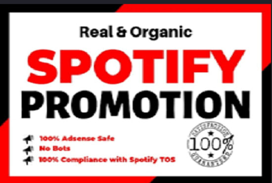 I will do organic spotify promotion, USA spotify music promotion