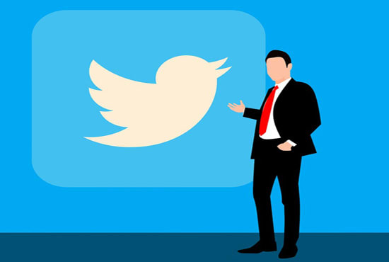 I will do twitter marketing and grow follower