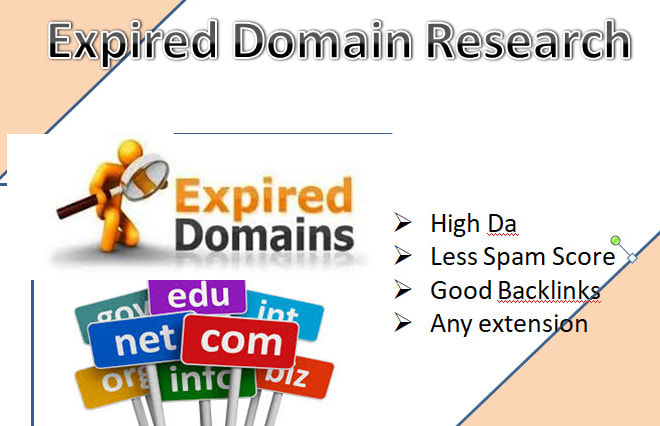 I will find high authority expired domain name research