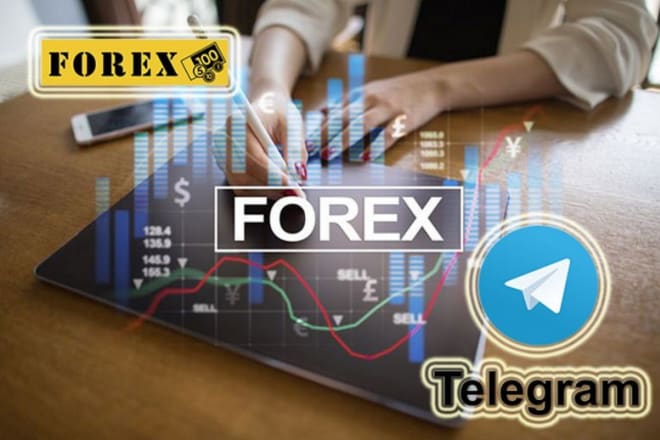I will generate real active members to forex, crypto to your telegram group or channel