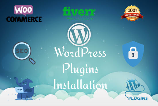 I will install and setting plugins for your website